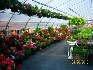<a href="http://www.mcintoshgreenhouse.com">More Information Available at www.mcintoshgreenhouse.com</a><br><br>Fantastic opportunity on 14+/- acres just south of Goshen, IN with lots of frontage on US 33.  This property is currently zoned commercial-retail and consists of 16 greenhouses with 37,494 SF of heated growing area.  

In addition, it includes retail buildings, shop, and an approx. 1700 SF home adjacent to the business. Opportunities abound with this prime property and the second generation owners retiring and ready to consider offers.  Possible uses of this acreage is unlimited!  A Great location on a busy road, good access and paved parking for 66 vehicles.

 - 14+/- Acres Zoned Commercial-Retail